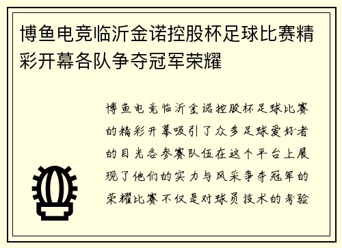 博鱼电竞临沂金诺控股杯足球比赛精彩开幕各队争夺冠军荣耀